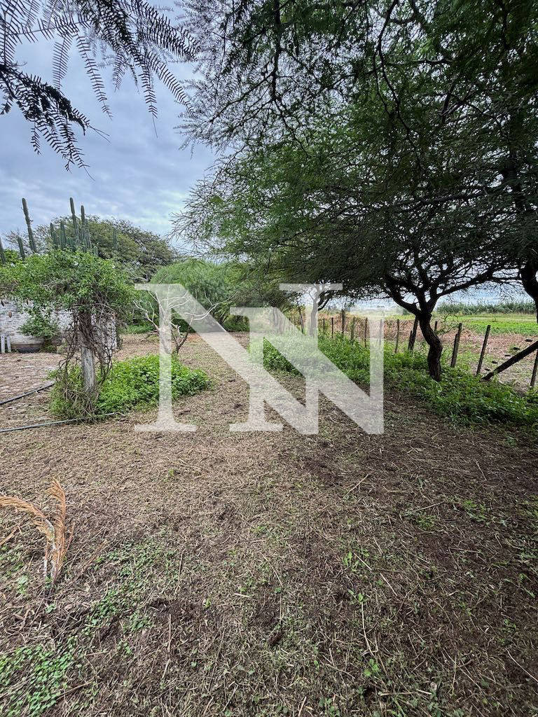 Campo en Venta en General San Martin, Cordoba