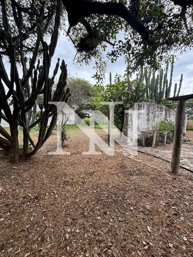 Campo en Venta en General San Martin, Cordoba