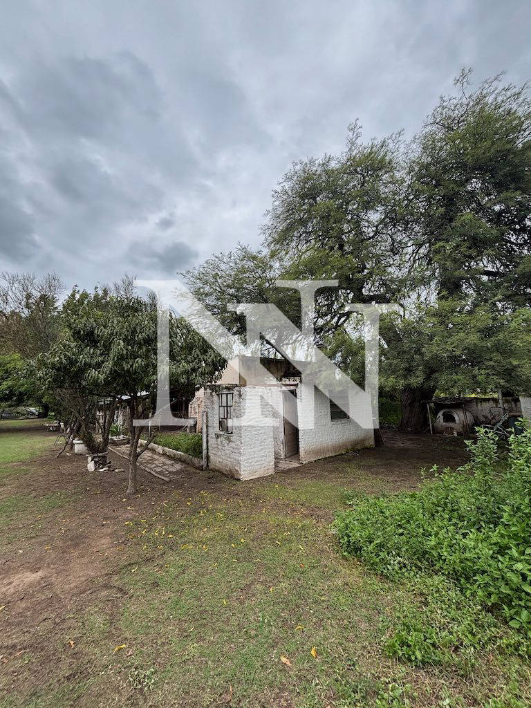 Campo en Venta en General San Martin, Cordoba