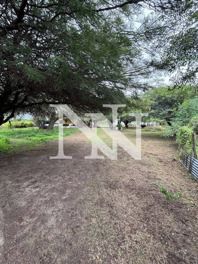 Campo en Venta en General San Martin, Cordoba
