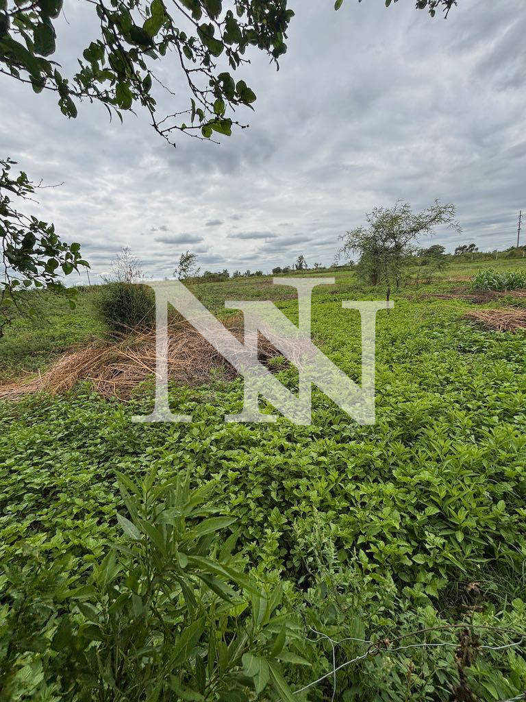 Campo en Venta en General San Martin, Cordoba