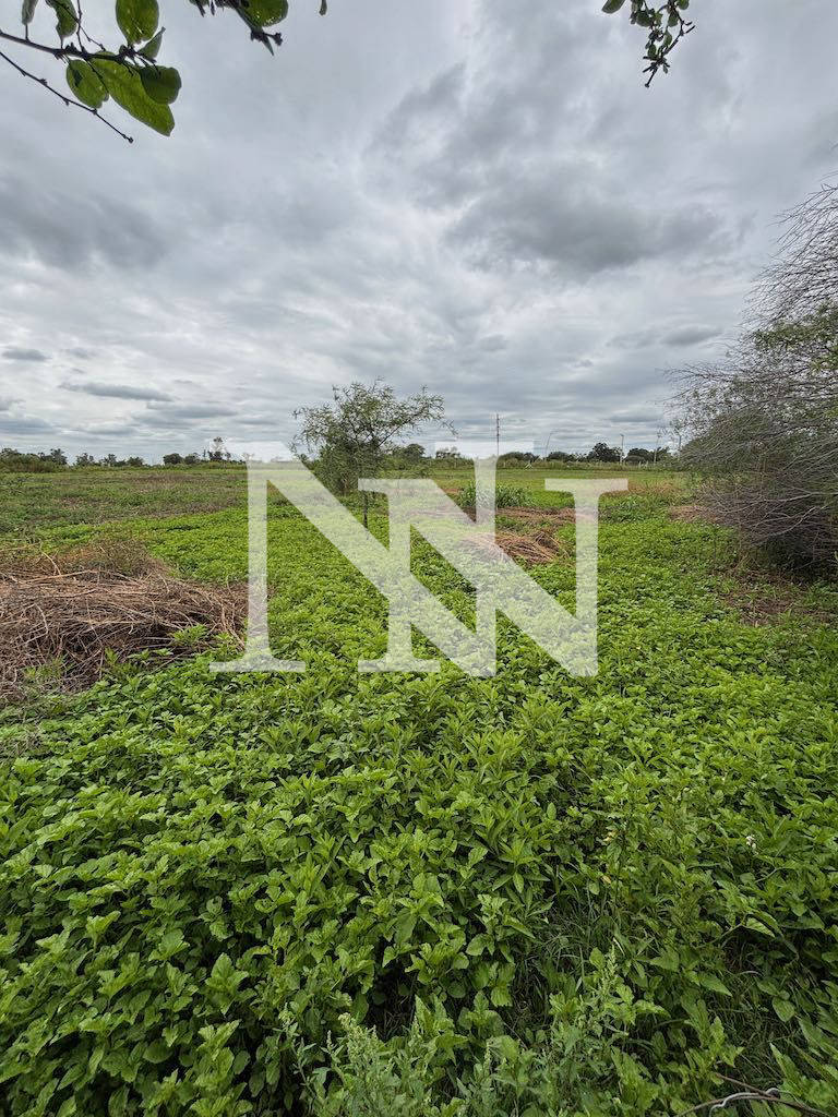Campo en Venta en General San Martin, Cordoba